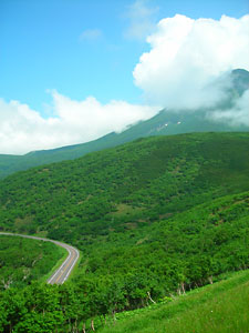 d0023725_6491365.jpg