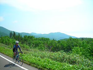 d0023725_6491821.jpg