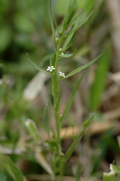 c0027027_18542545.jpg