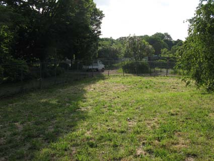 d0109728_132658100.jpg