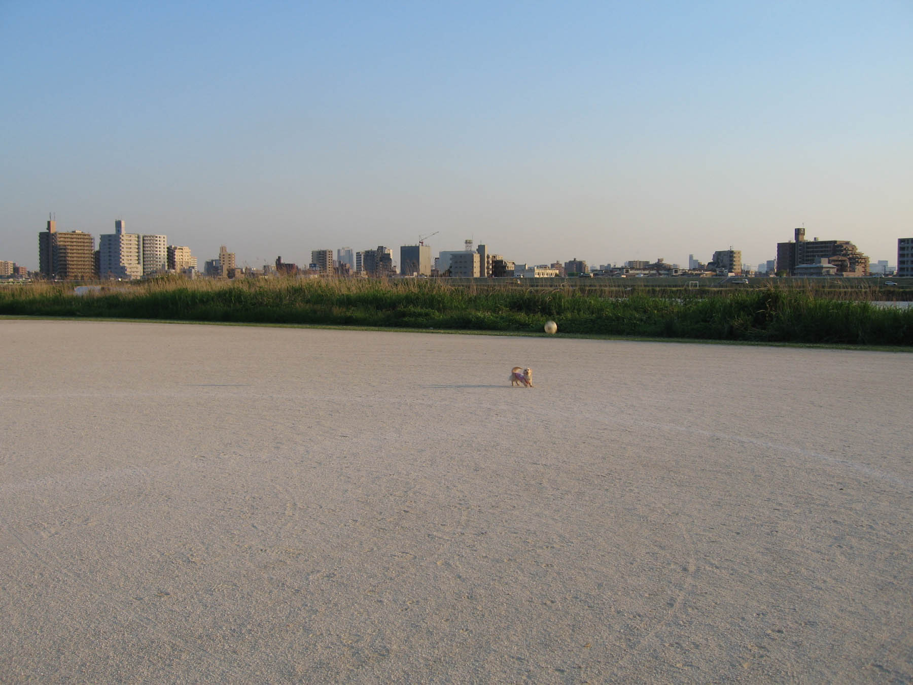 c0117831_2143237.jpg