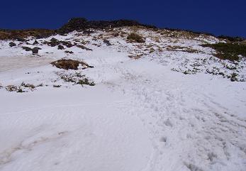 f0118332_2319169.jpg