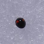 f0118332_23263074.jpg