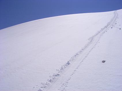 f0118332_23322125.jpg