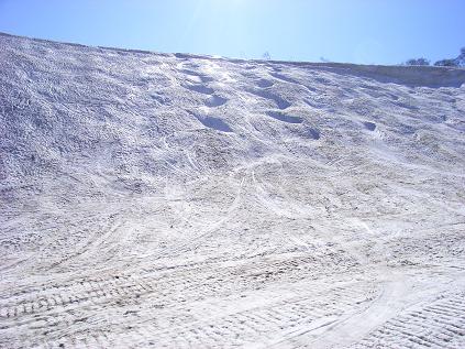 f0118332_23527100.jpg