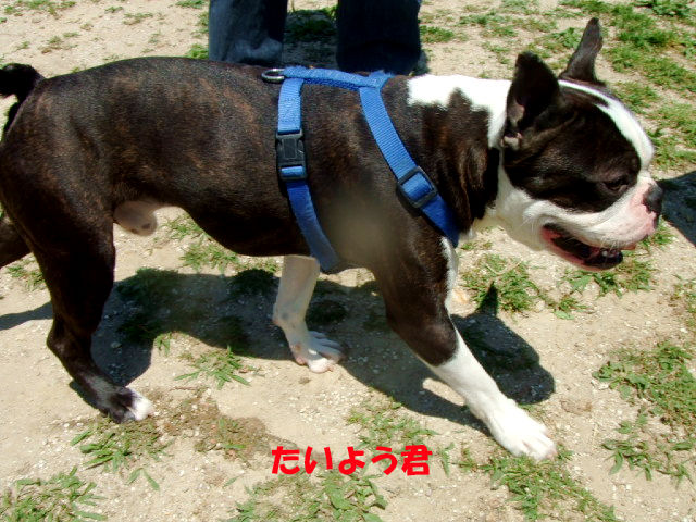 f0059334_9143856.jpg
