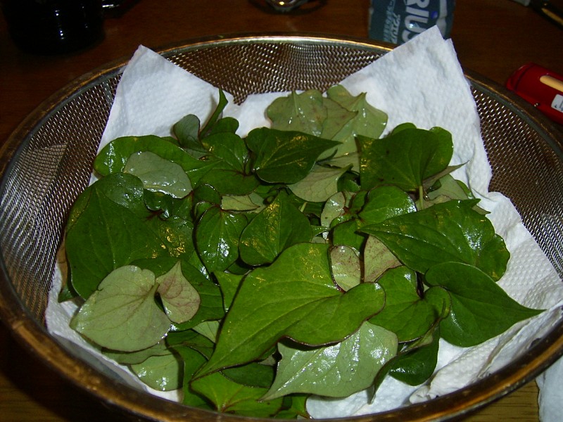 f0127441_13184064.jpg