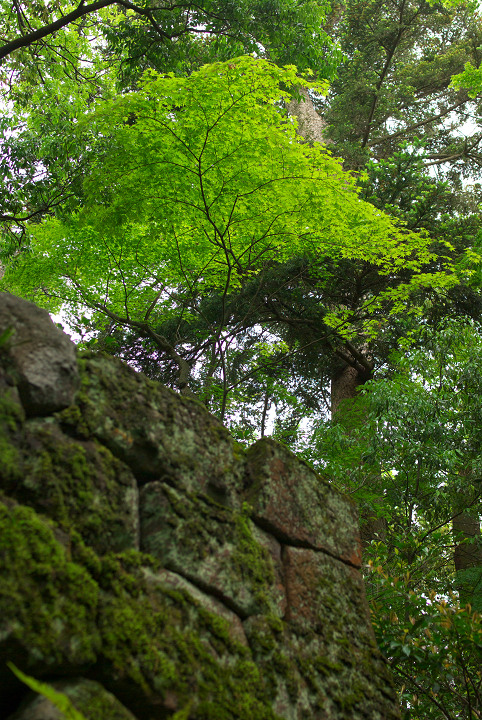 d0098645_2062858.jpg