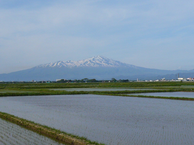 c0110447_18253640.jpg