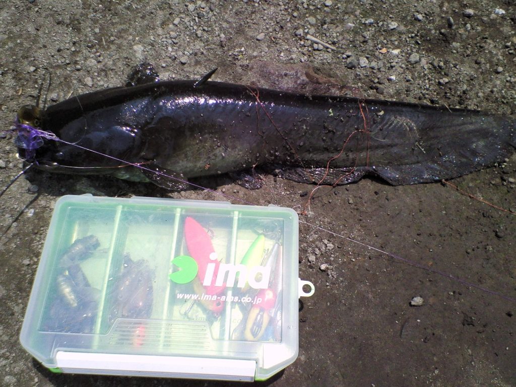 c0019951_20274883.jpg