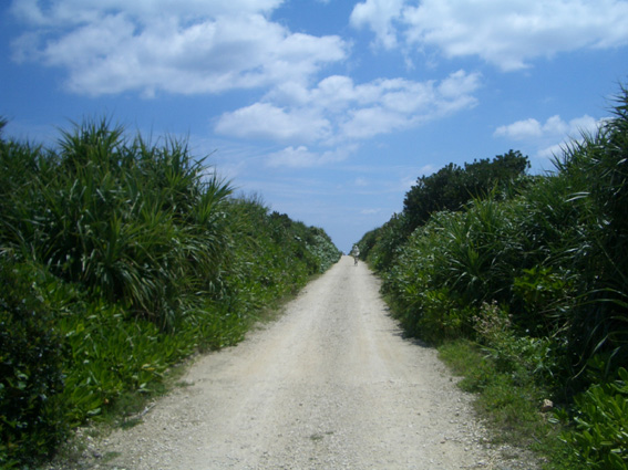 b0002156_9475466.jpg
