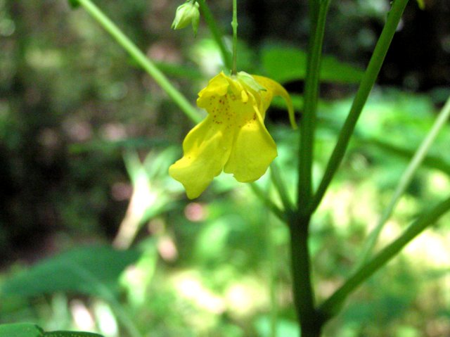 f0044056_170087.jpg