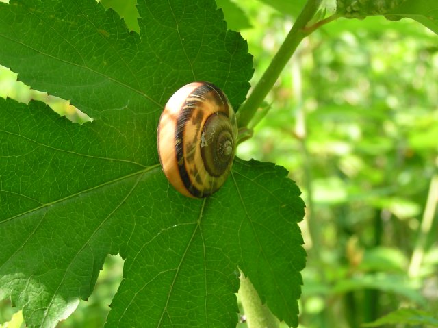 f0044056_171348.jpg