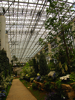 f0052269_19445454.jpg