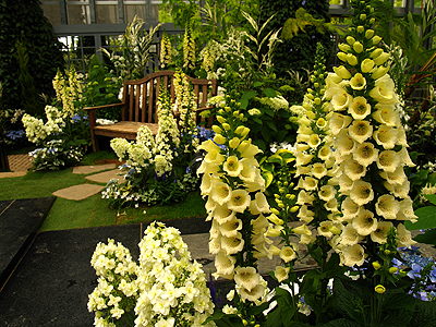 f0052269_19473120.jpg