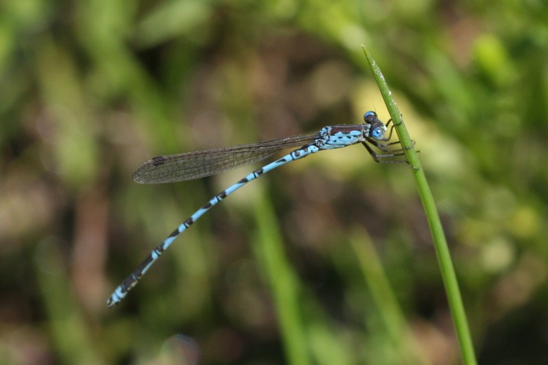 b0088772_21464355.jpg