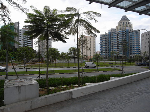 a0002177_22553976.jpg