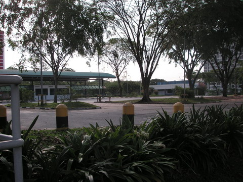 a0002177_2315172.jpg