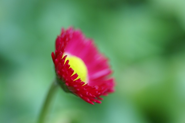 d0079278_193333100.jpg