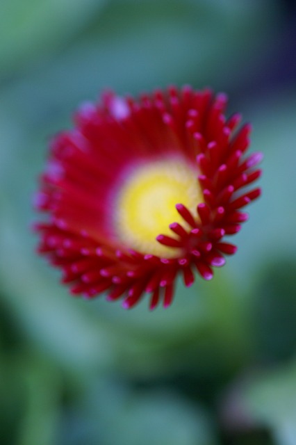 d0079278_1933858.jpg