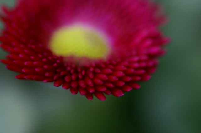 d0079278_19342358.jpg