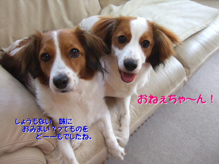 c0075585_8183624.jpg