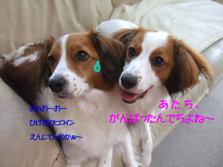 c0075585_820851.jpg