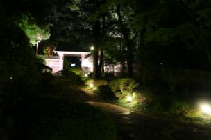 e0096485_1111147.jpg