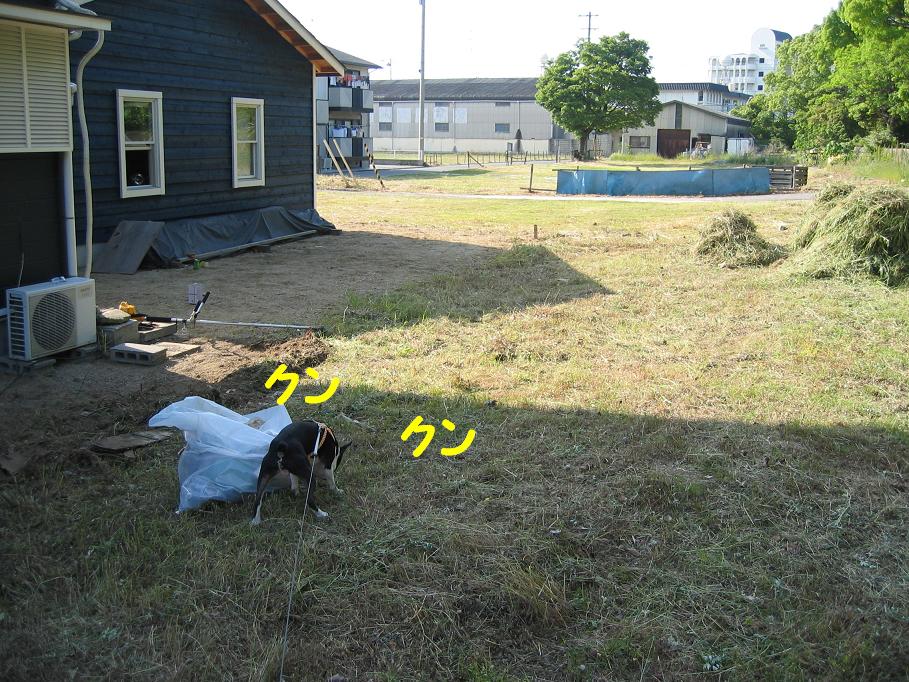 a0080889_2333751.jpg