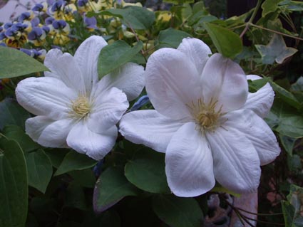 f0019498_1935644.jpg