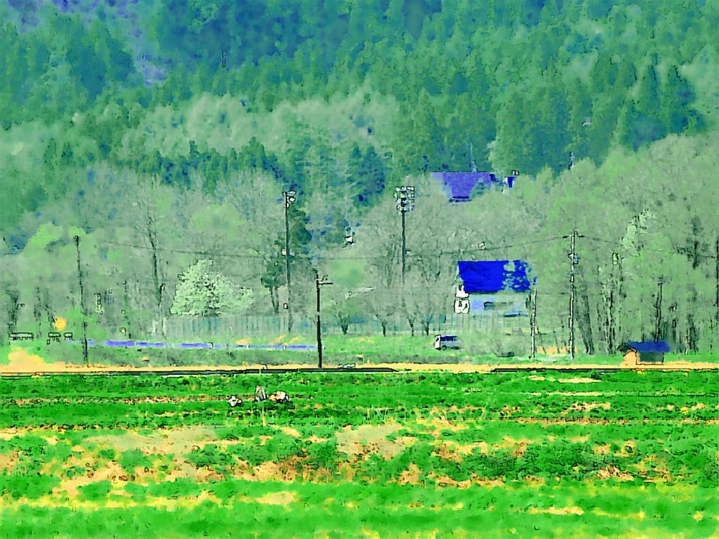 e0103903_20351282.jpg