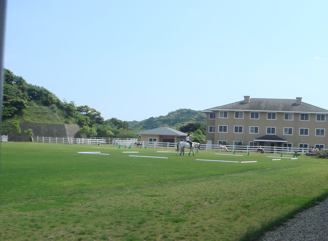 c0041207_11212479.jpg
