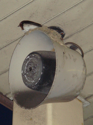 d0105408_19274037.jpg