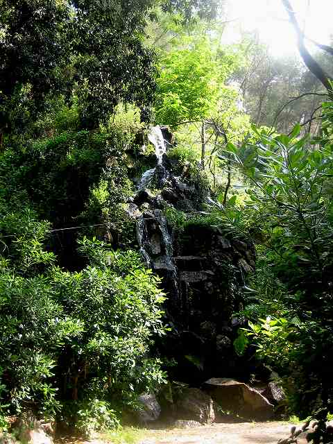 b0064411_620428.jpg