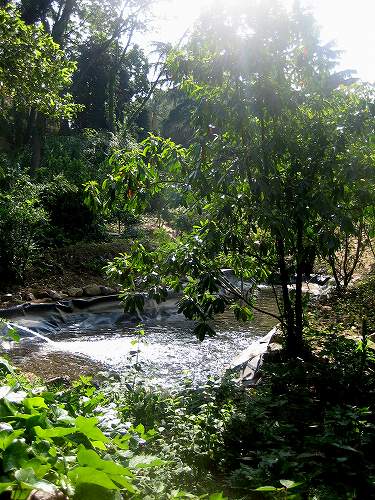 b0064411_6344082.jpg