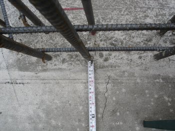 e0003819_825543.jpg