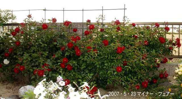 e0072023_21513767.jpg