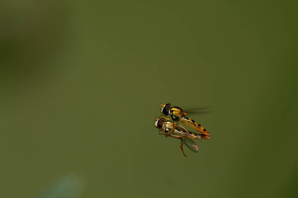 d0089024_20324972.jpg