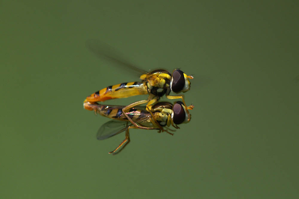 d0089024_2035672.jpg