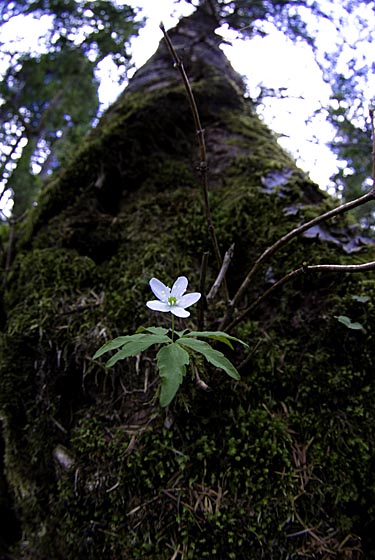 e0025030_1342989.jpg