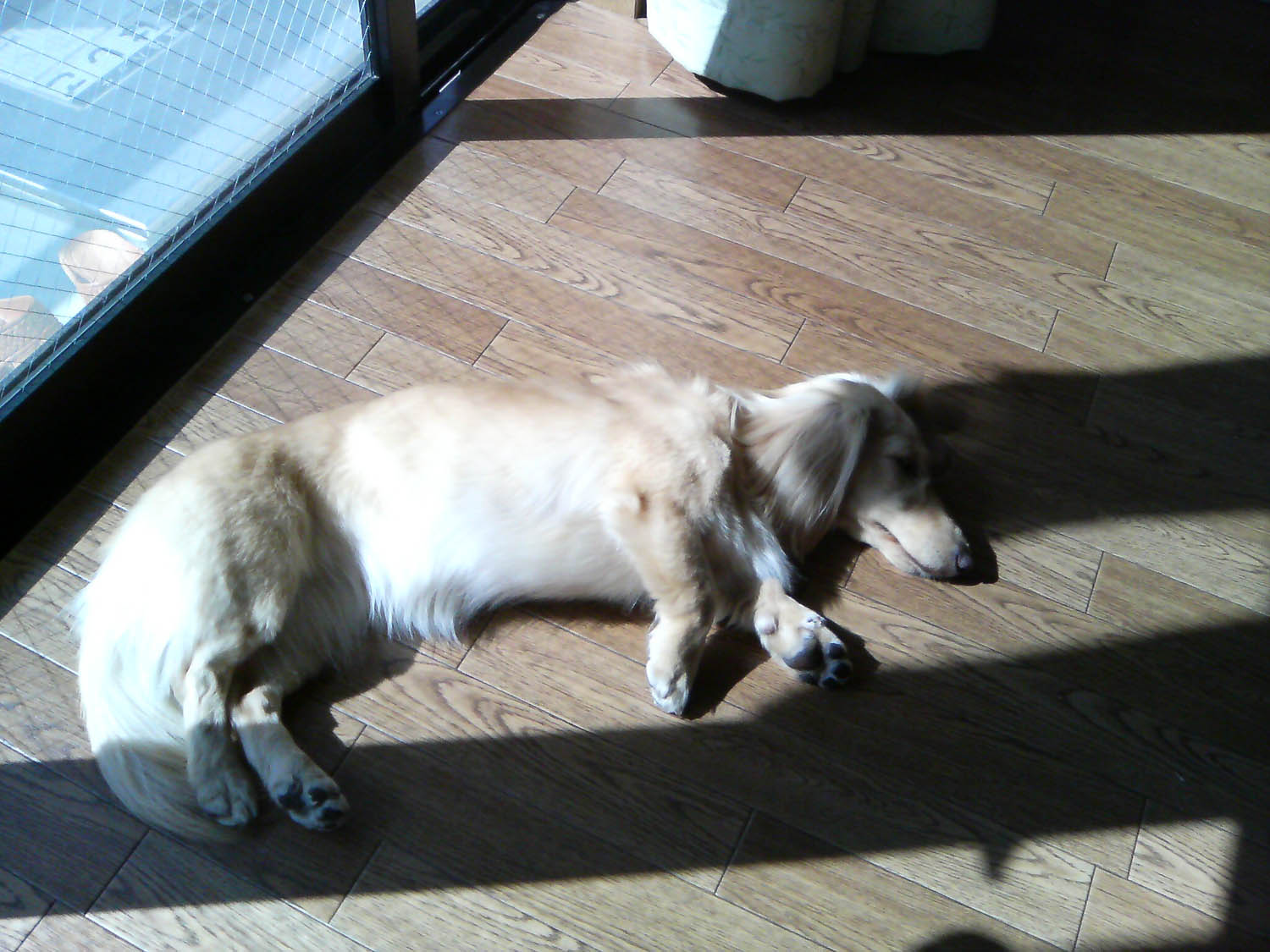 c0117831_2021459.jpg