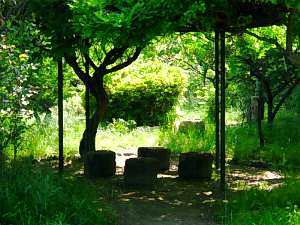 公園の一角、鬱そうと茂った草木の真ん中に石の椅子とその上に藤棚が。光にシルエットだけ浮かぶ椅子や木の幹が不思議な世界を醸し出しています。小さな公園なんですけどね、緑一色の世界です。