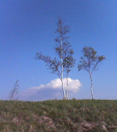 c0118536_0421881.jpg