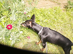 c0123149_1553574.jpg