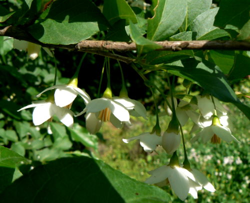 d0091754_0373893.jpg