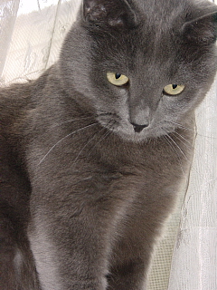a0021558_937195.jpg