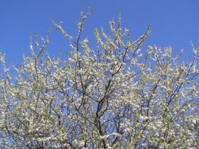 b0086858_9133411.jpg