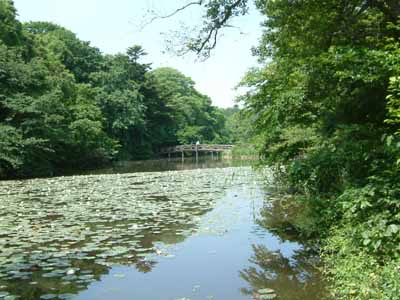 f0039460_2357491.jpg