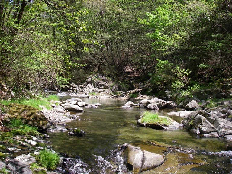 d0079570_21134688.jpg