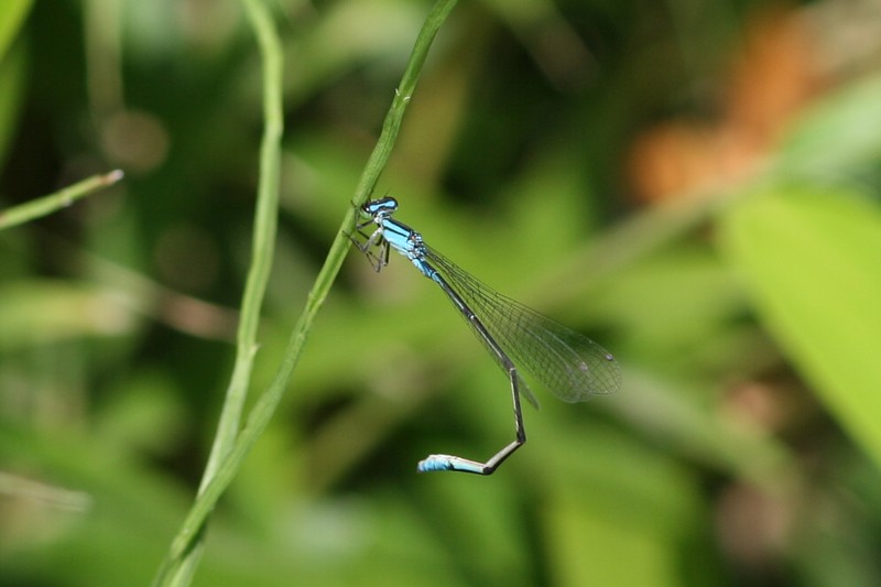 b0088772_21584365.jpg